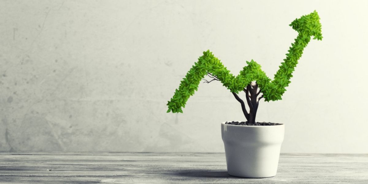 How to make your money grow in 2021 • PhilSTAR Life